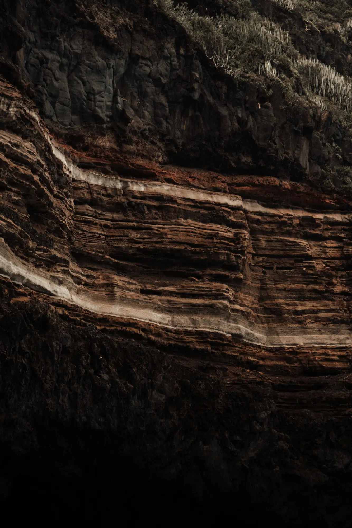 max-kuntscher-tBbpxLVQinw-unsplash.webp