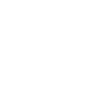link-ico