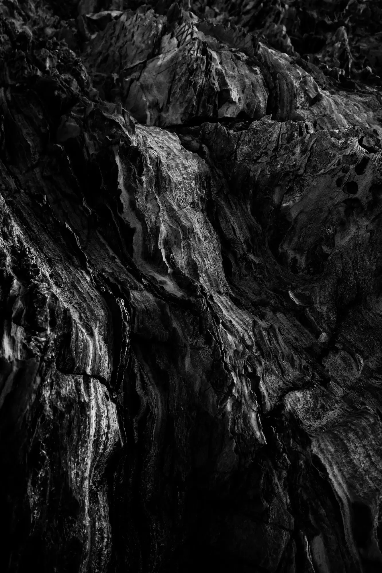 pexels-adrien-olichon-2931246
